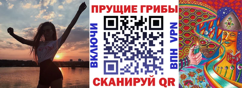Псилоцибиновые грибы Psilocybe  Корсаков 